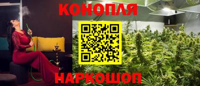ГАЛЛЮЦИНОГЕННЫЕ ГРИБЫ Славгород