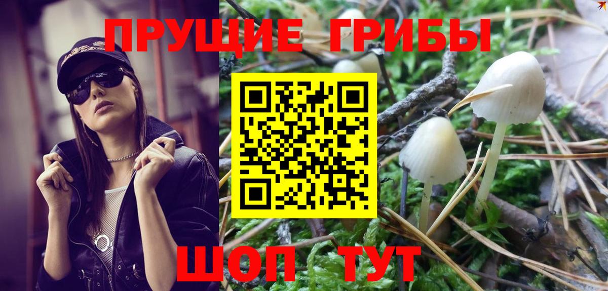Новоуральск  Псилоцибиновые грибы GOLDEN TEACHER  Галлюциногенные грибы мухоморы  Вход с VPN 